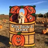 VonThun Farms Fall Family Fun photo