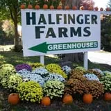 Halfinger Farms photo