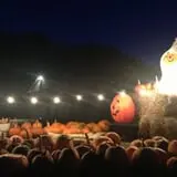 Halfinger Farms photo