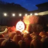 Halfinger Farms photo