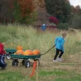 Halfinger Farms photo