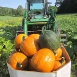 Halfinger Farms photo