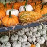 Halfinger Farms photo