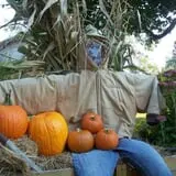 Halfinger Farms photo