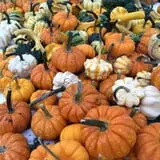 Halfinger Farms photo