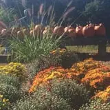 Halfinger Farms photo