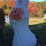 Halfinger Farms photo