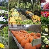 Halfinger Farms photo