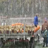 Halfinger Farms photo