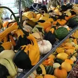 Halfinger Farms photo
