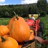 Halfinger Farms photo