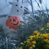 Halfinger Farms photo
