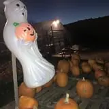 Halfinger Farms photo