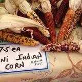 Halfinger Farms photo