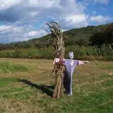 Halfinger Farms photo