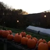 Halfinger Farms photo