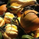 Halfinger Farms photo