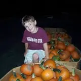 Halfinger Farms photo