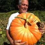 Halfinger Farms photo