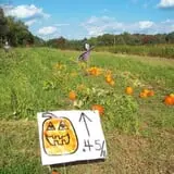 Halfinger Farms photo