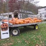 Halfinger Farms photo