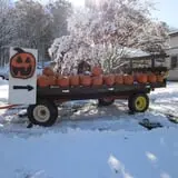 Halfinger Farms photo