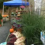 Halfinger Farms photo