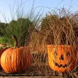 Halfinger Farms photo