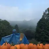 Halfinger Farms photo