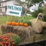 Halfinger Farms photo
