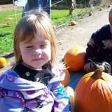 Halfinger Farms photo