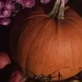 Halfinger Farms photo