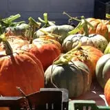 Halfinger Farms photo