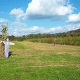 Halfinger Farms photo
