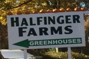 Halfinger Farms