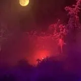 Hidden Lake Haunt photo