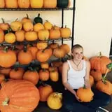 Balzano Family Vineyard & Pumpkin Patch photo