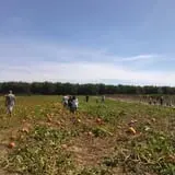 Balzano Family Vineyard & Pumpkin Patch photo