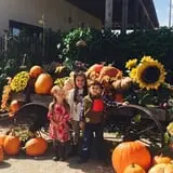 Balzano Family Vineyard & Pumpkin Patch photo