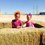 Balzano Family Vineyard & Pumpkin Patch photo
