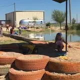 Balzano Family Vineyard & Pumpkin Patch photo