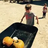 Balzano Family Vineyard & Pumpkin Patch photo