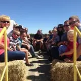 Balzano Family Vineyard & Pumpkin Patch photo