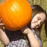 Balzano Family Vineyard & Pumpkin Patch photo