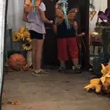 Balzano Family Vineyard & Pumpkin Patch photo