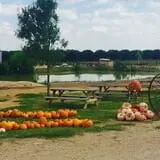 Balzano Family Vineyard & Pumpkin Patch photo