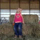 Balzano Family Vineyard & Pumpkin Patch photo