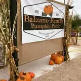 Balzano Family Vineyard & Pumpkin Patch photo