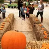 Balzano Family Vineyard & Pumpkin Patch photo