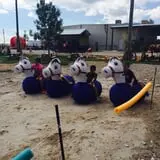 Balzano Family Vineyard & Pumpkin Patch photo